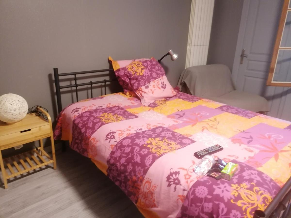 Апартаменты Chambre 23M2 Avec Jardin Wi-Fi Gratuit Saint-Girons Экстерьер фото